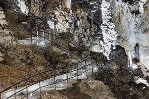 grotta gigante giant cave trieste trips tours shore excursions
